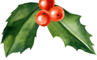 Christmas Leaves and Berries